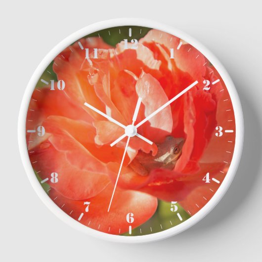 Horloge Grenouille dans la rose rouge (Recto)
