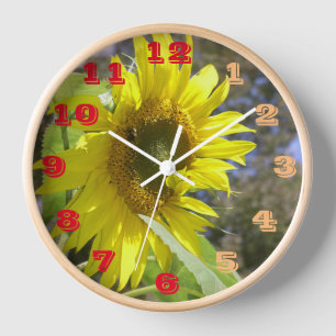 Horloge Heure du tournesol