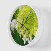 Horloge Hydrangea Élégant Chartreuse Vert Limelight (Angle)