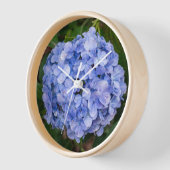 Horloge Hydrangea macrophylla (Angle)