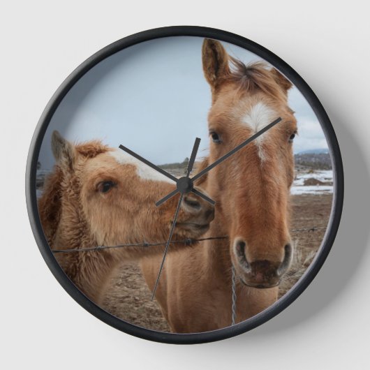 Horloge Jument et poulain (Recto)