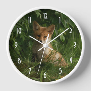 Horloge Le chou renard dans une forêt verte