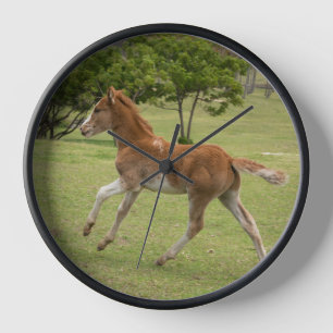 Horloge L'île de Pâques aka Rapa Nui