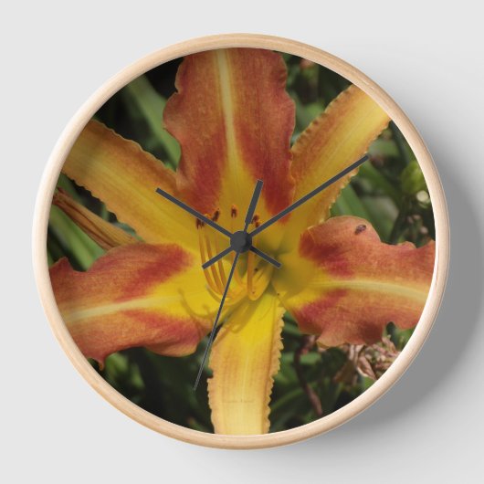Horloge Lily (Recto)