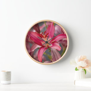 Horloge Lys asiatique rose, Photographie de fleurs