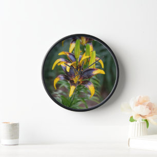 Horloge Lys hybride asiatique noir, Photographie de fleurs