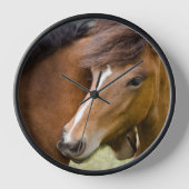 Horloge Mare Et Colt (Recto)