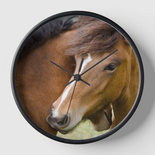 Horloge Mare Et Colt (Recto)