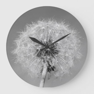 Horloge monochrome de pissenlit