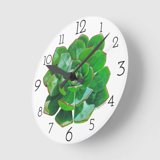 Horloge mural Succulente Rosette (Angle)