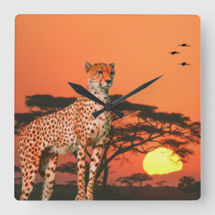 Horloge murale acrylique