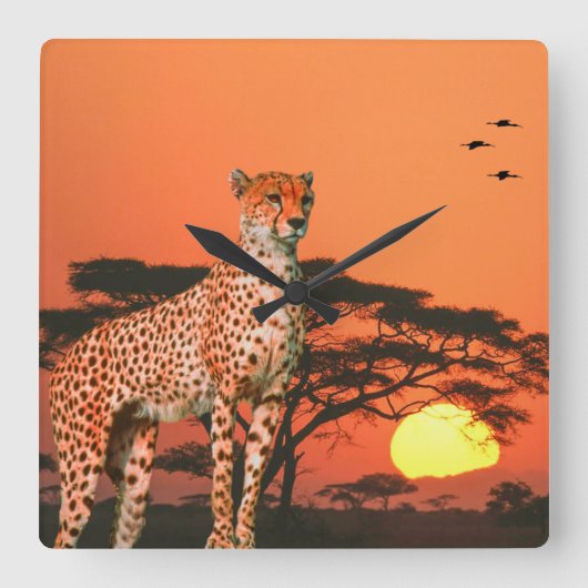 Horloge murale acrylique (Recto)