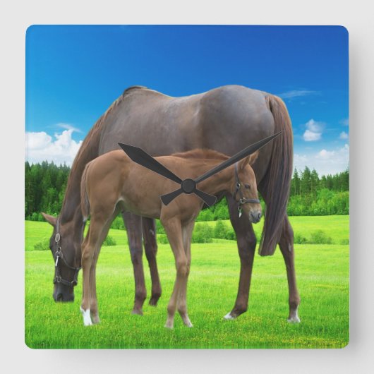 Horloge murale acrylique (Recto)