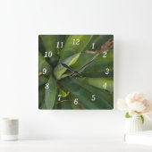 Horloge murale Aloe Vera (Maison)