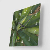 Horloge murale Aloe Vera (Angle)