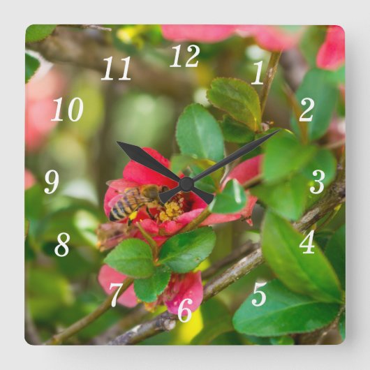 Horloge Murale Bumblebebe Et Azalea (Recto)