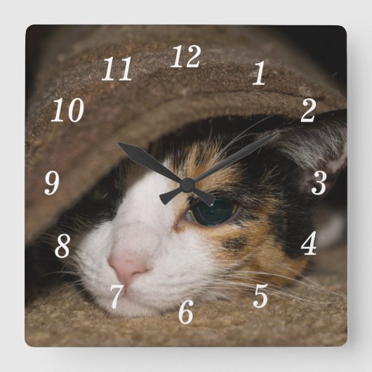Horloge murale Calico Taco (Recto)