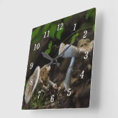 Horloge murale de beauté (Angle)