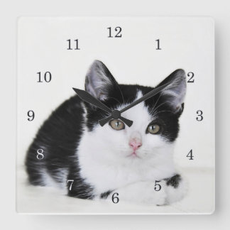 Horloge murale de chaton pensif noir et blanc