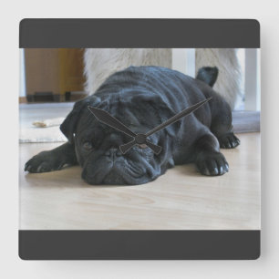 Horloge murale de chiot carlin noir mignon