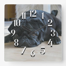 Horloge murale de chiot carlin noir mignon