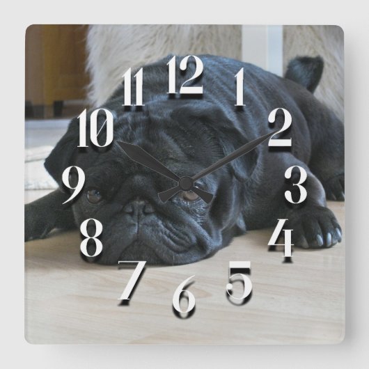Horloge murale de chiot carlin noir mignon (Recto)
