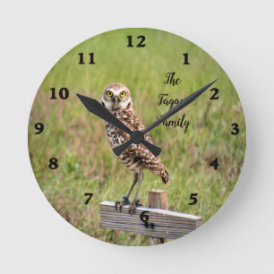 Horloge murale de Hibou petit terrier