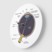 Horloge murale de l'anatomie des yeux (Angle)