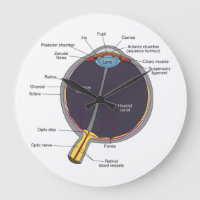 Horloge murale de l'anatomie des yeux
