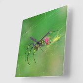 Horloge murale de l'araignée de l'orbe dorée (Angle)