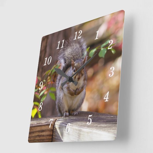 Horloge murale de l'écureuil (Angle)