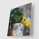 Horloge murale de Male Mallard (Angle)