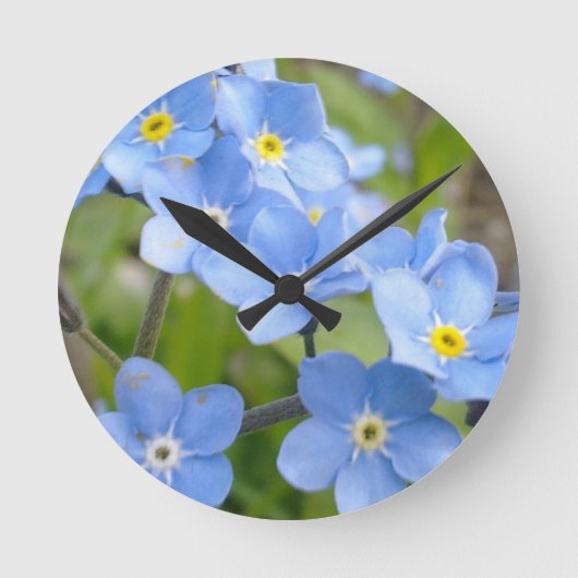Horloge murale de myosotis des marais (Recto)