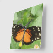 Horloge murale de papillon long tigre (Angle)
