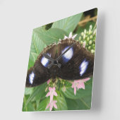 Horloge murale de papillon tacheté bleu (Angle)