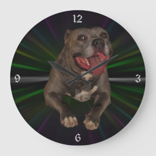 Horloge murale de Pitbull