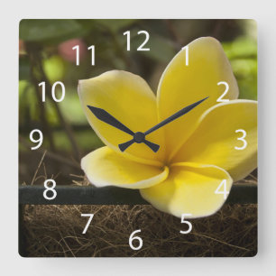 Horloge murale de Plumeria