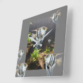 Horloge murale de poisson à répartition tropicale (Angle)