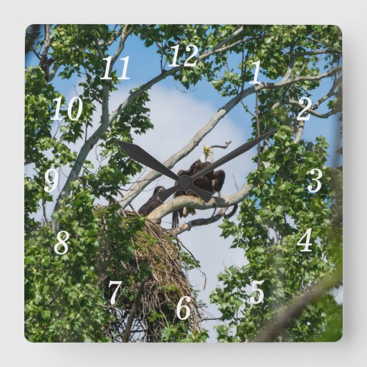 Horloge murale des aigles chauds (Recto)