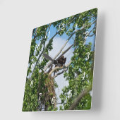 Horloge murale des aigles chauds (Angle)