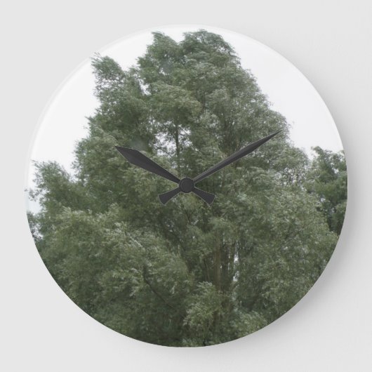 Horloge murale des arbres (Recto)