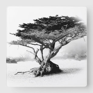 Horloge murale DES ARBRES DE PLAGE