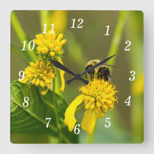 Horloge murale des bourdons (Recto)