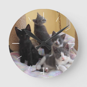 Horloge murale des chatons mignons