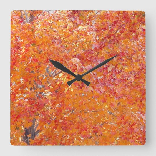 Horloge murale des couleurs de chute de l'arbre (Recto)