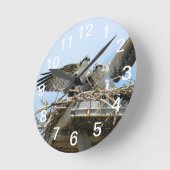 Horloge murale des Hawks Ospreys (Angle)