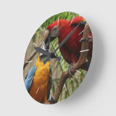 Horloge murale des macaws baisants (Angle)