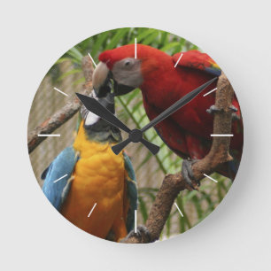 Horloge murale des macaws baisants