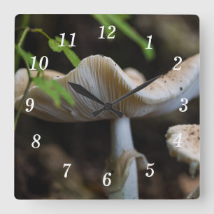 Horloge murale des parapluies de toadstool