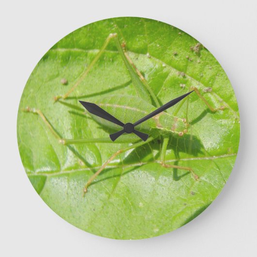 Horloge murale du camouflage vert (Recto)